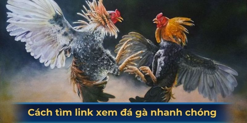 Hướng dẫn cách tìm link xem đá gà nhanh chóng và an toàn